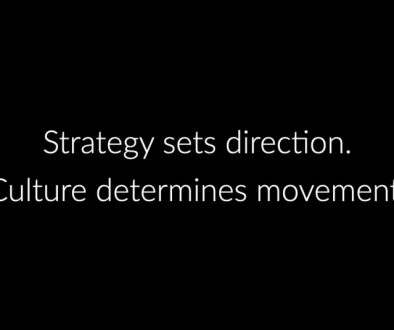 Understanding the relationship between operational strategy and culture.001